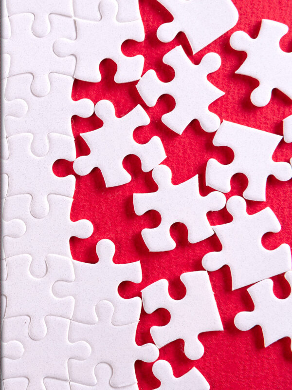 Piece Together Your Purpose: Insight & Affirmation to Complete Your Journey