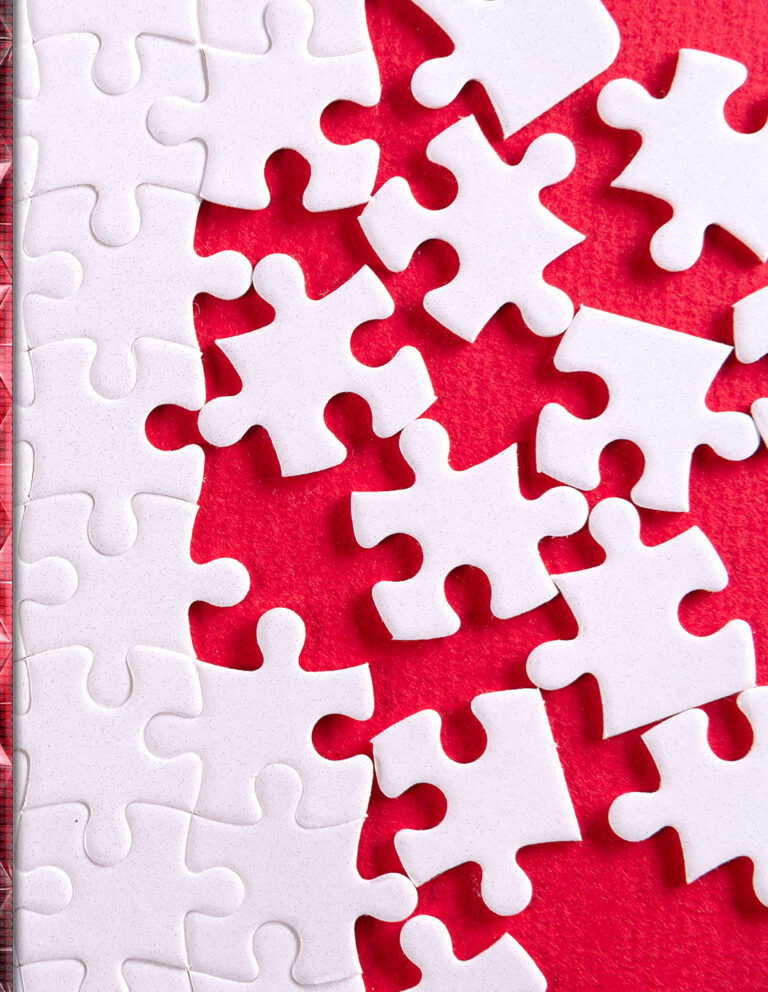 Piece Together Your Purpose: Insight & Affirmation to Complete Your Journey