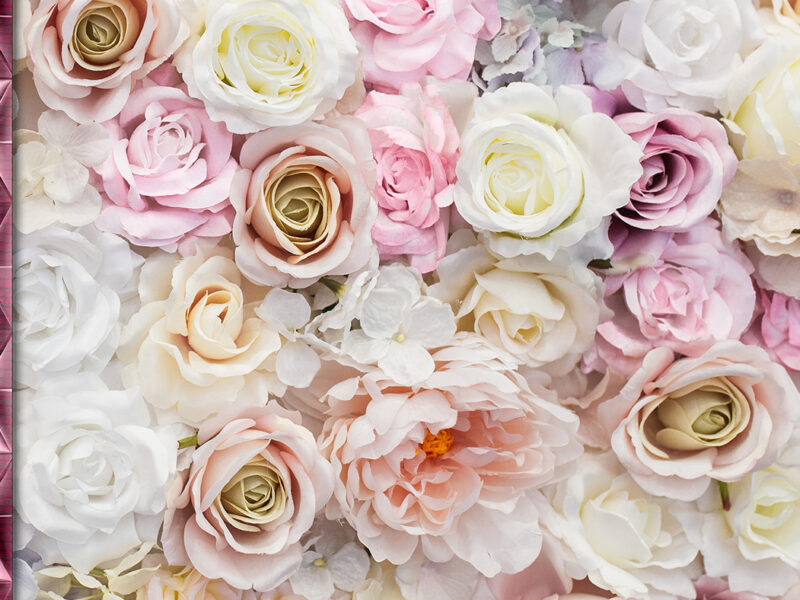 Roses of Reflection: 222 Pages of Numerology-Infused Affirmations Amidst a Garden of Soft Hues