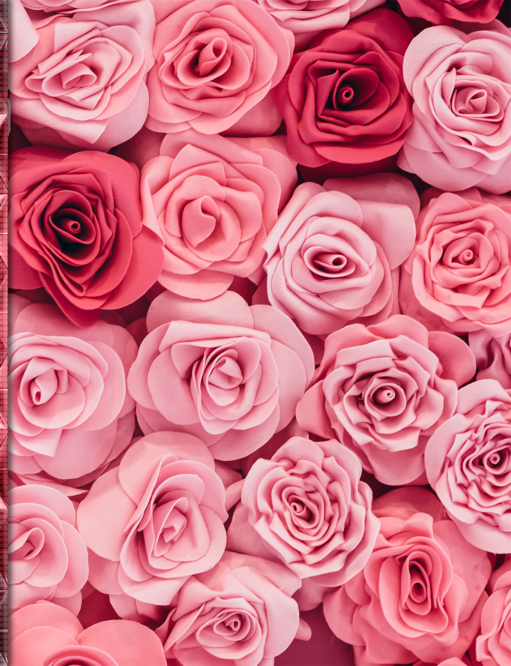 Roses of Realization: Bloom in Love, Prosperity, and Purpose