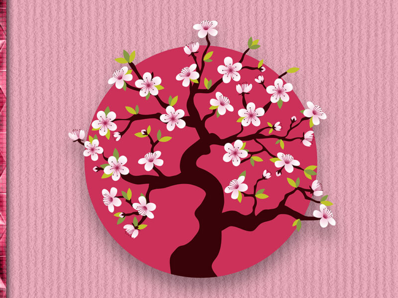 Cherry Blossom Serenity: 222 Days of Numerological Affirmations and Growth