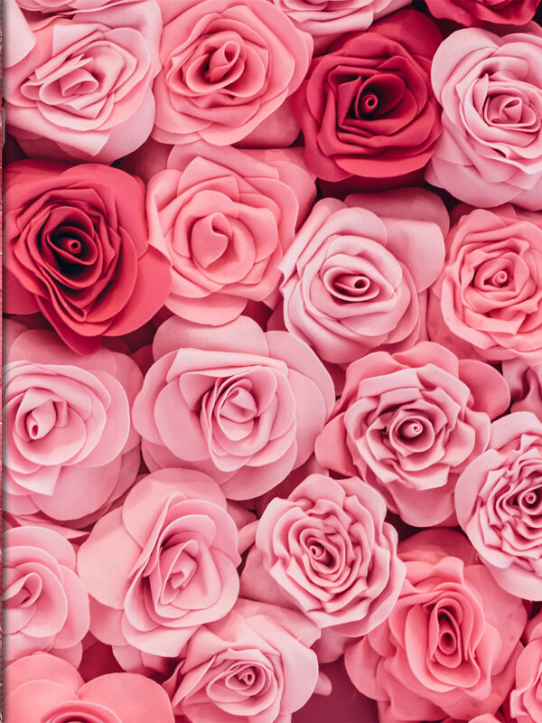 Roses of Realization: Bloom in Love, Prosperity, and Purpose
